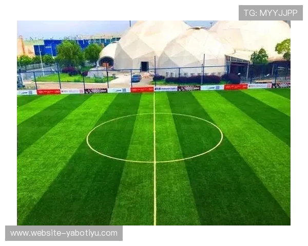 亚博体育数字站：智能化数据分析助力体育赛事精准预测与观赛体验