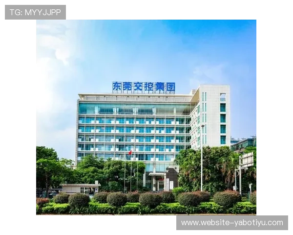 亚博网址是怎么登录的详细步骤与常见问题解决方案解析